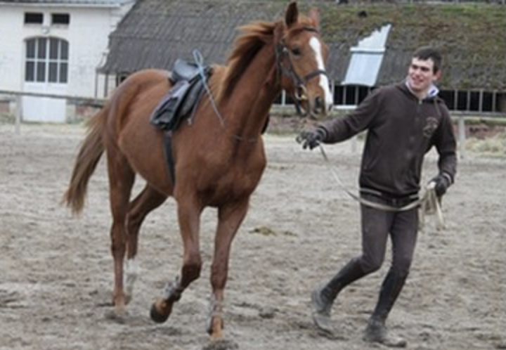 Bac pro Hippique CGEH